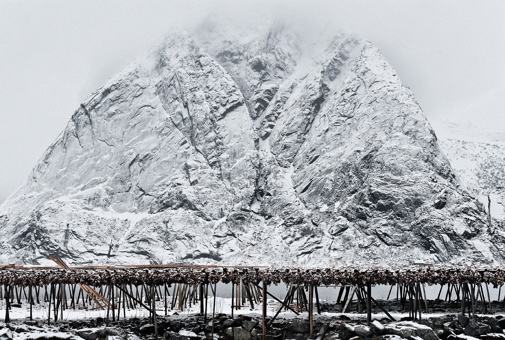 Notes from Reine Lofoten Slow: A Travel Diary