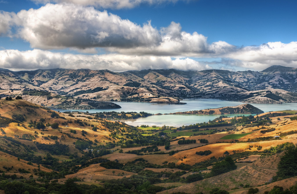 Notes from Akaroa Slow: A Travel Diary
