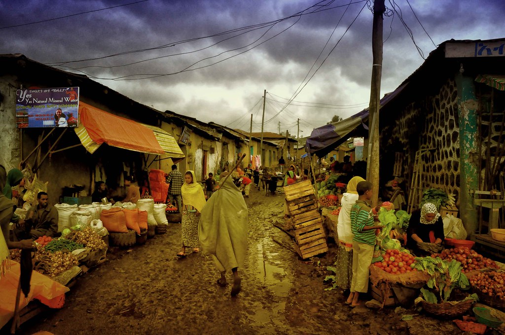 Notes from Gondar Slow: A Travel Diary