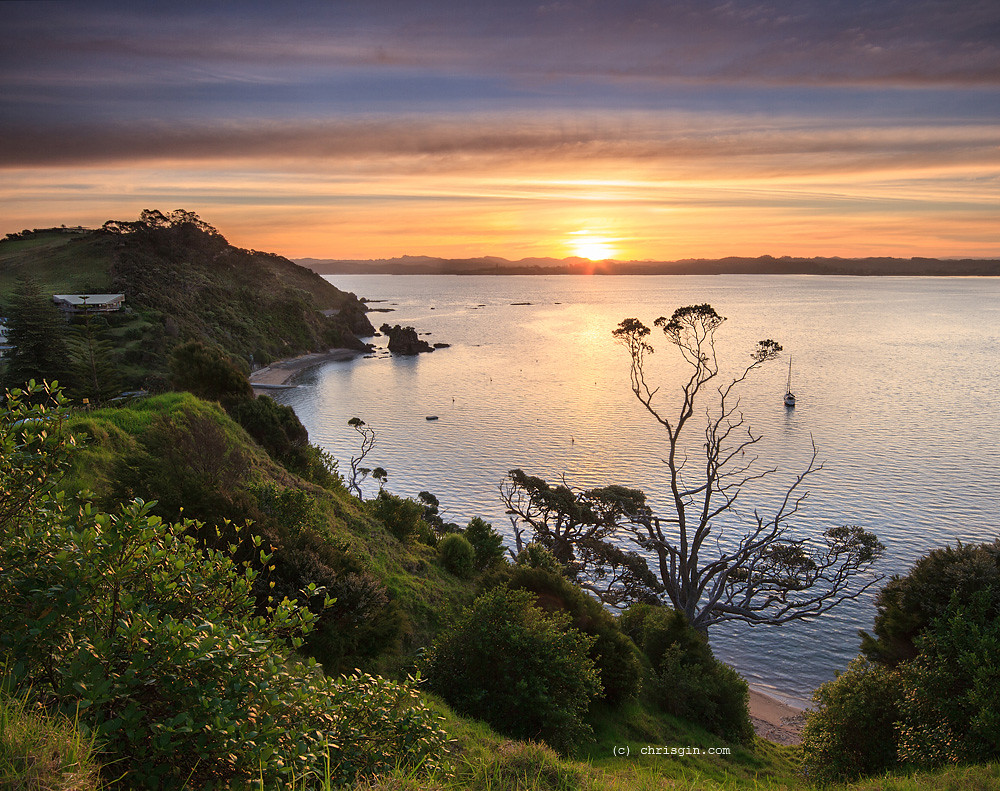 Notes from Russell Bay Slow: A Travel Diary