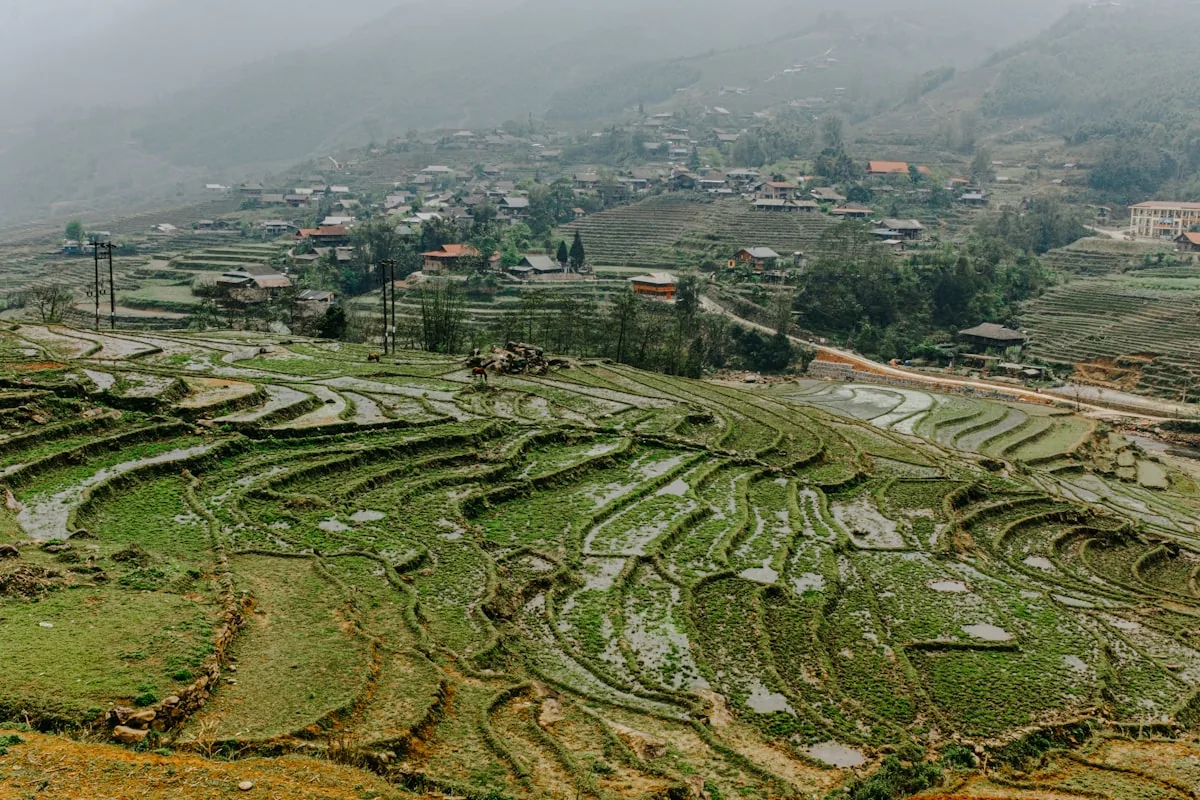 Asia