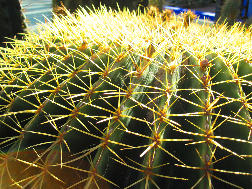 Notes from Marrakech: A Slow Travel Diary