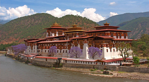Notes from Punakha Slow: A Travel Diary