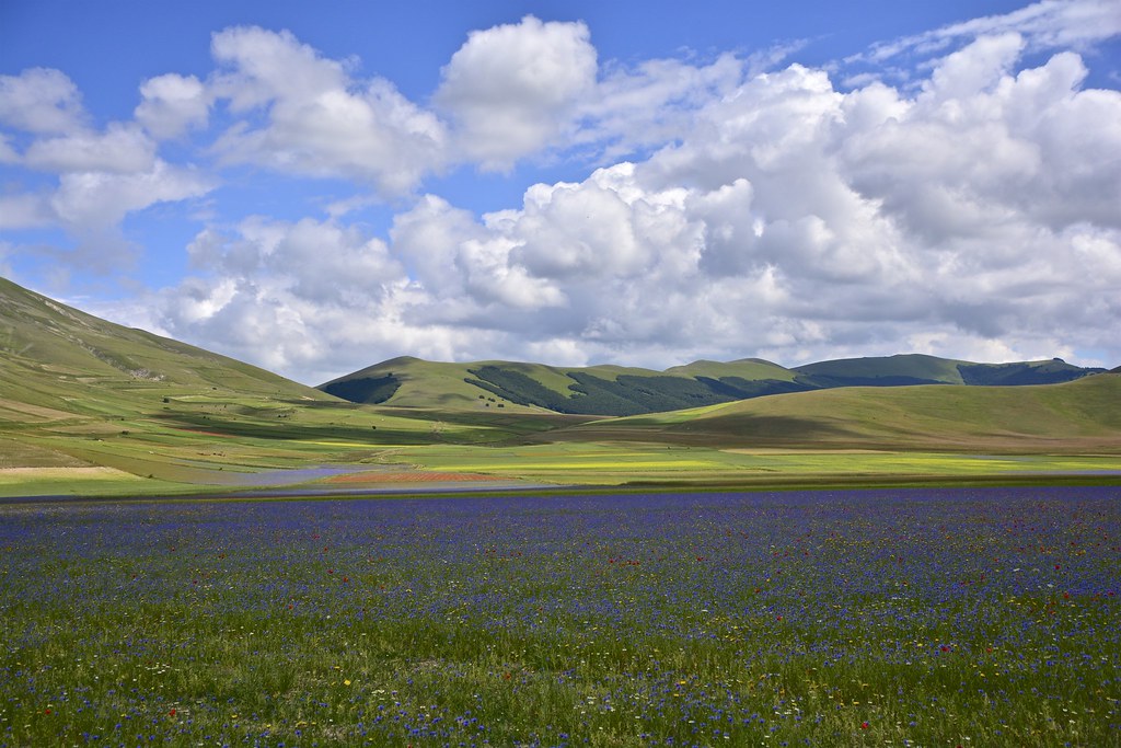 Notes from Castelluccio Slow: A Travel Diary
