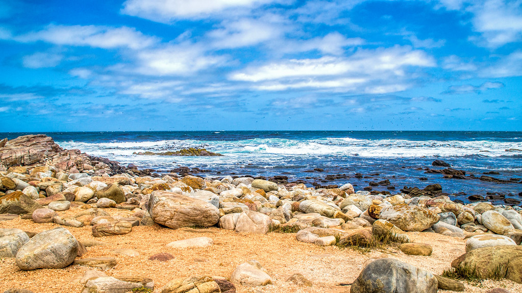 Notes from Cape Town: A Slow Travel Diary