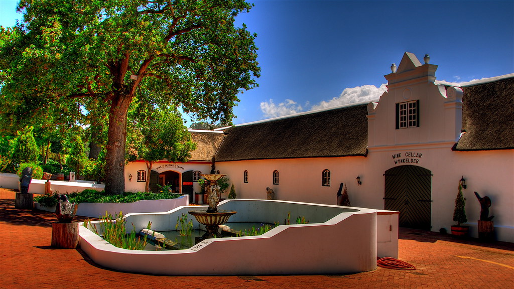 Notes from Stellenbosch Slow: A Travel Diary