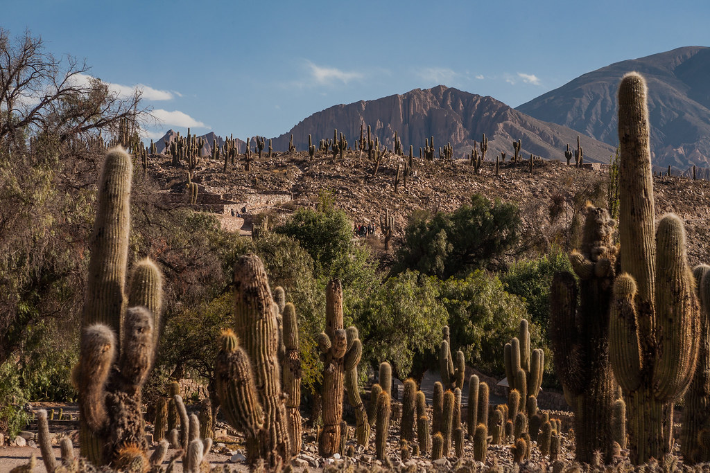 Notes from Tilcara Slow: A Travel Diary