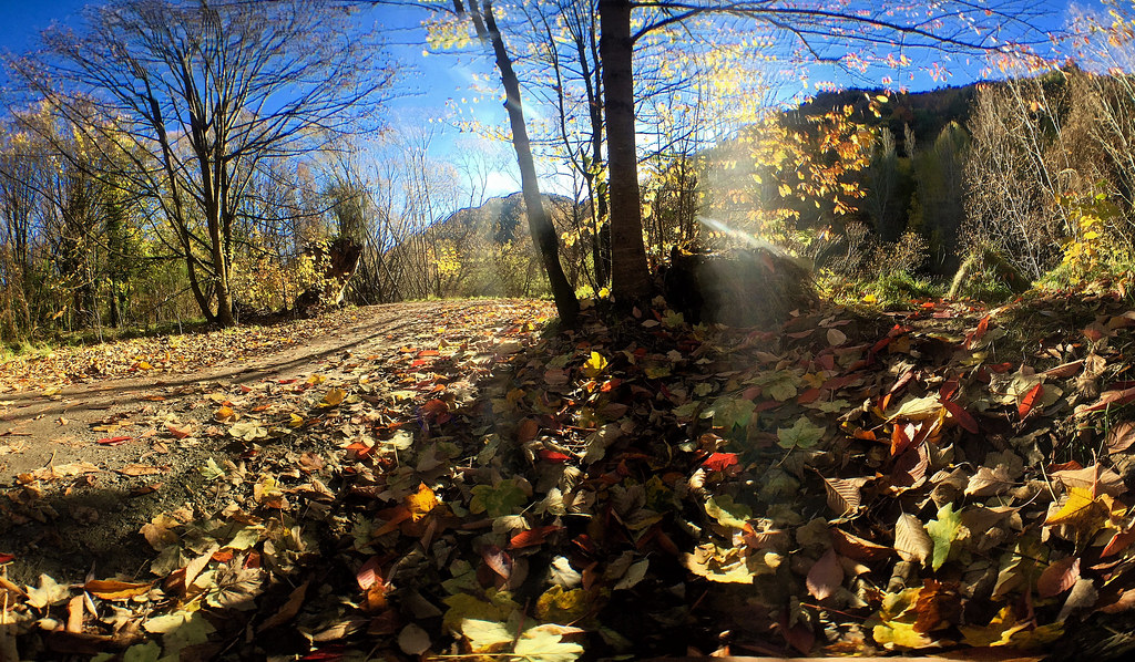 Notes from Arrowtown Slow: A Travel Diary