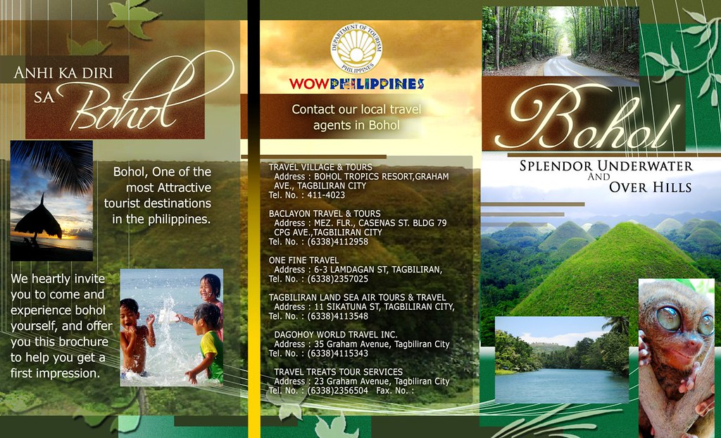Notes from Chocolate Hills Bohol: A Slow Travel Diary