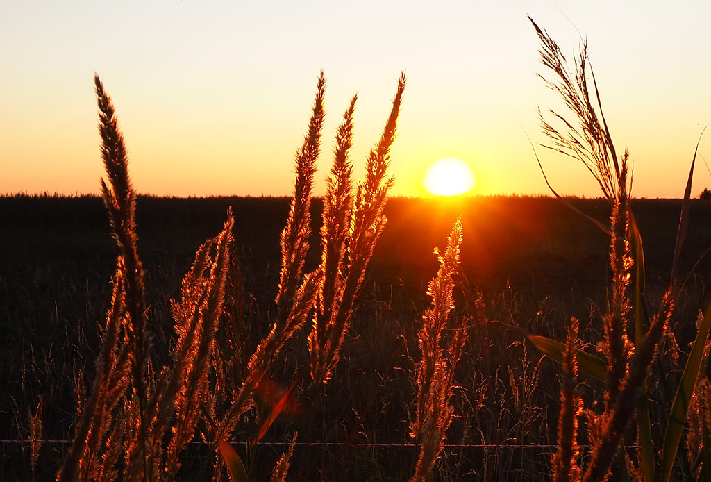 Notes from Saaremaa Slow: A Travel Diary