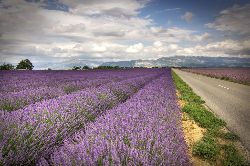 Notes from Moustiers-Sainte-Marie Slow: A Travel Diary