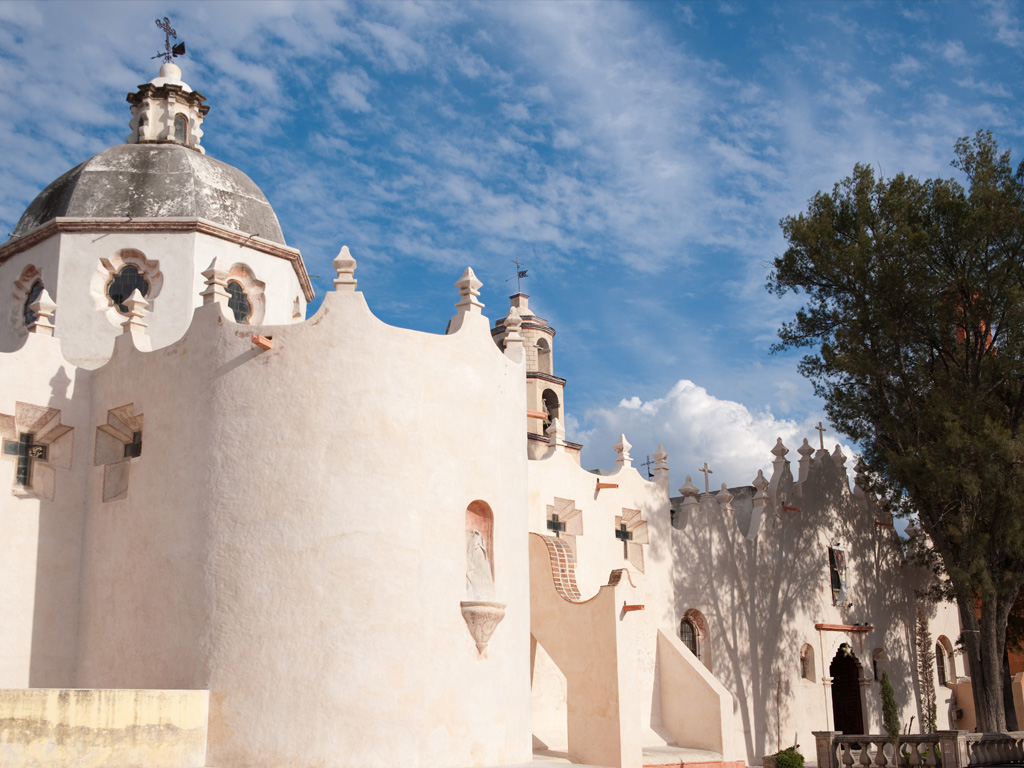 Notes from Todos Santos Slow: A Travel Diary