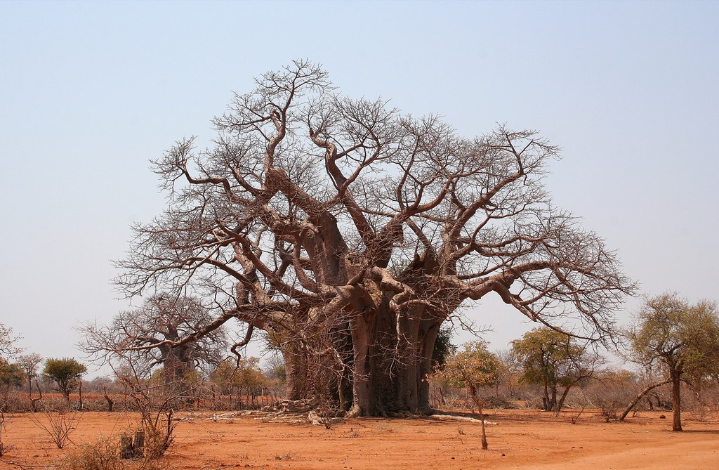 Notes from Khami Ruins National Monument: A Story from Matabeleland