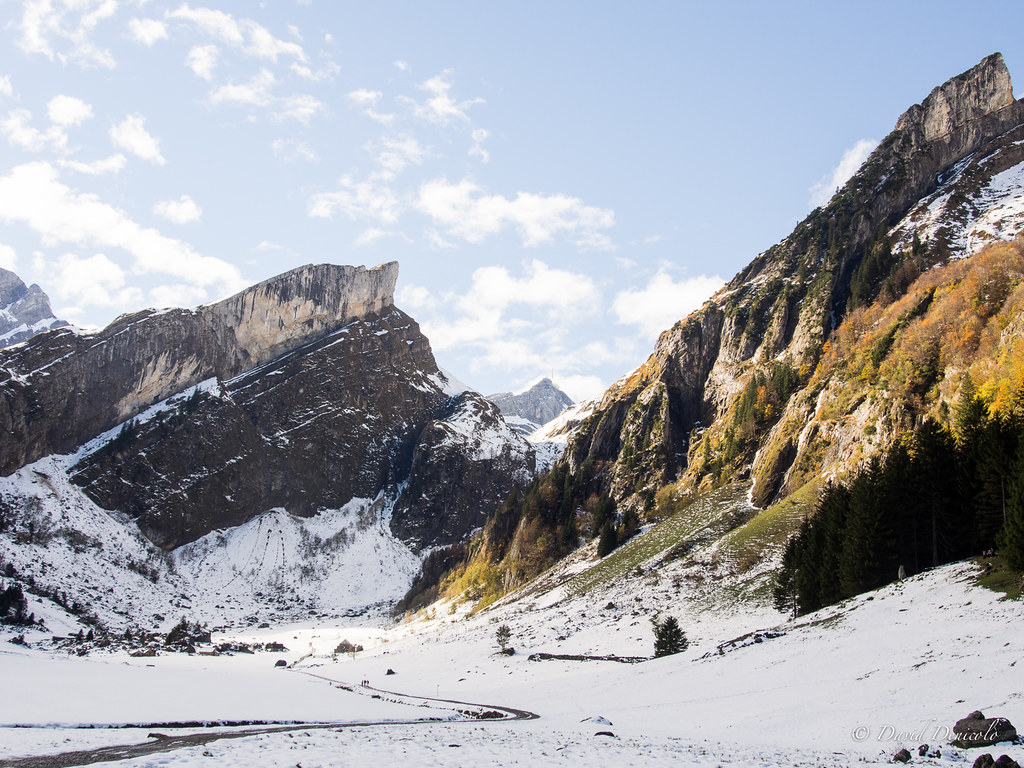 Notes from Appenzell Slow: A Travel Diary