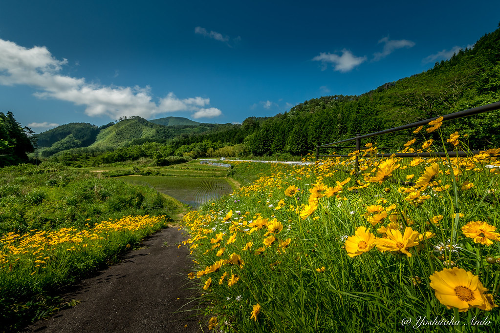 Notes from Tsuwano Slow: A Travel Diary