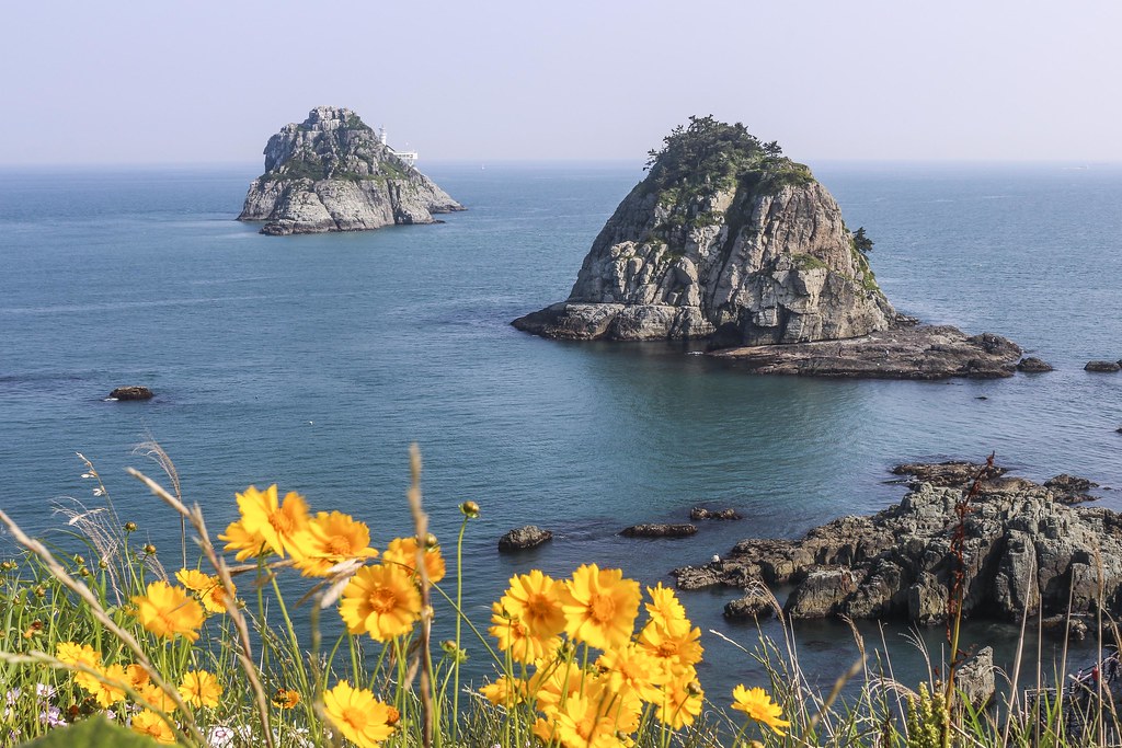 Notes from Busan: A Slow Travel Diary