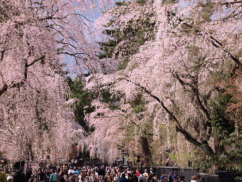 Notes from Kakunodate Slow: A Travel Diary
