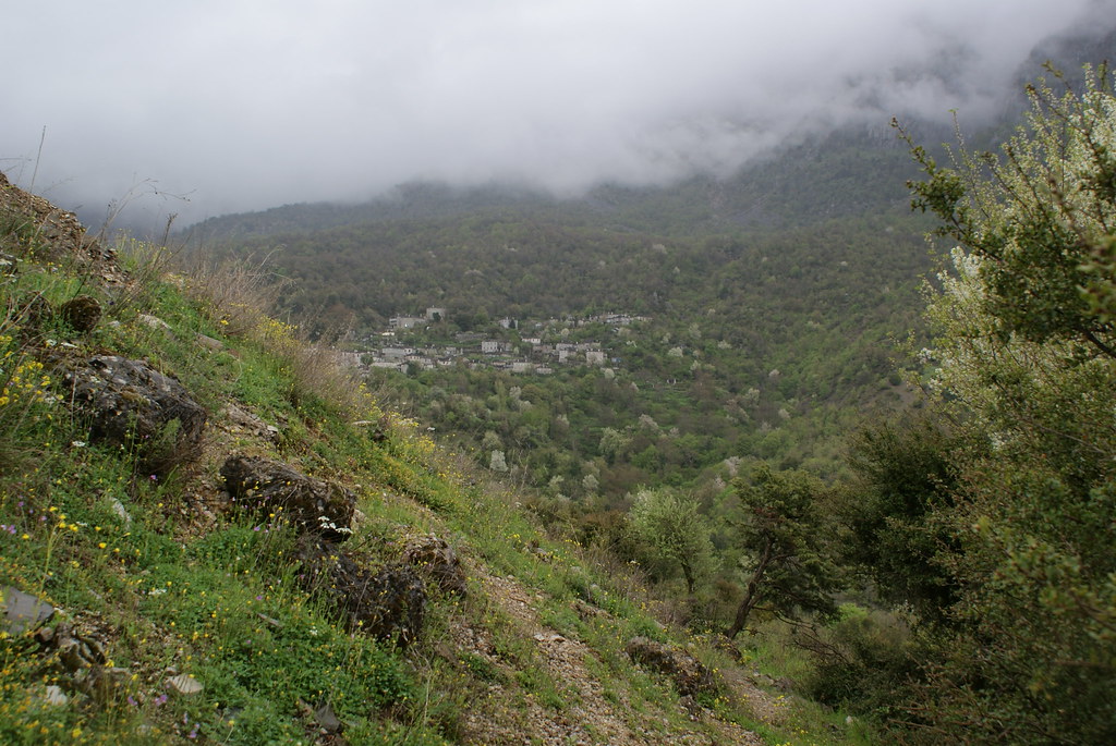Notes from Papingo Slow: A Travel Diary