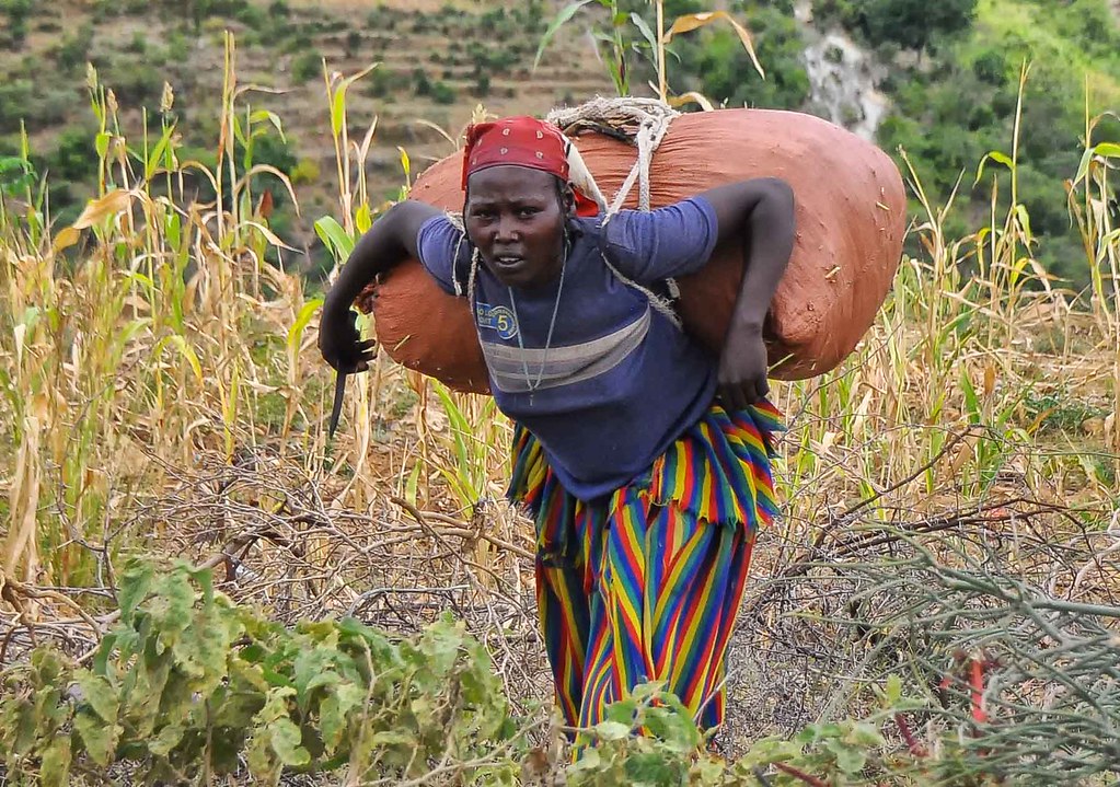 Notes from Konso Cultural Landscape: A Story from SNNPR