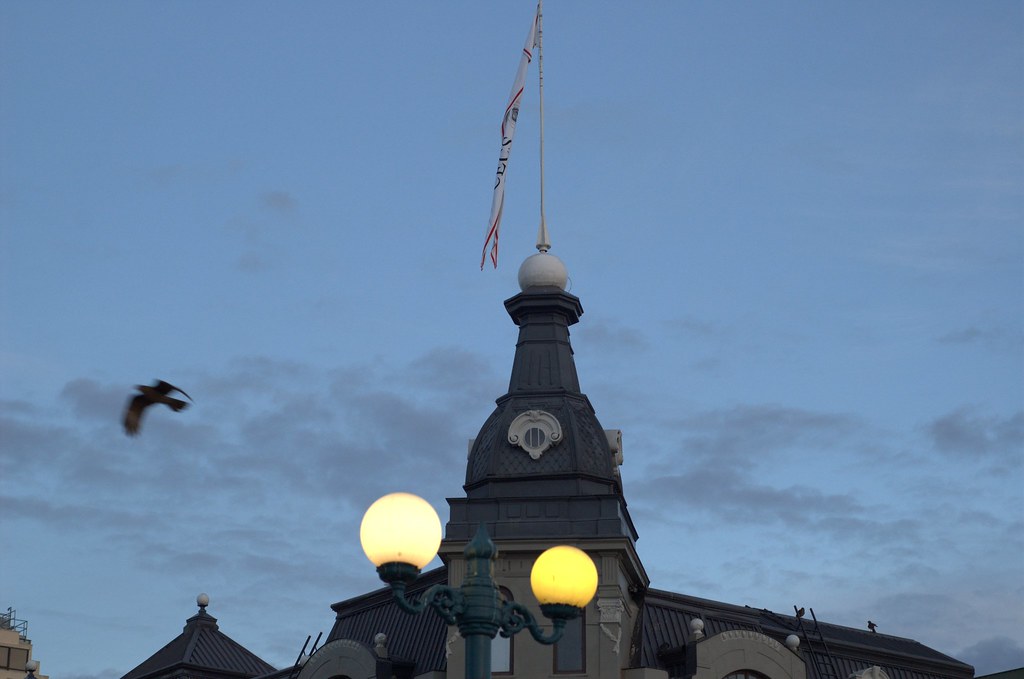 Notes from Valdivia Slow: A Slow Travel Diary