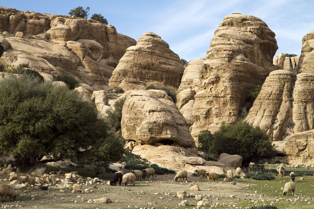 Notes from Dana Village Slow: A Travel Diary