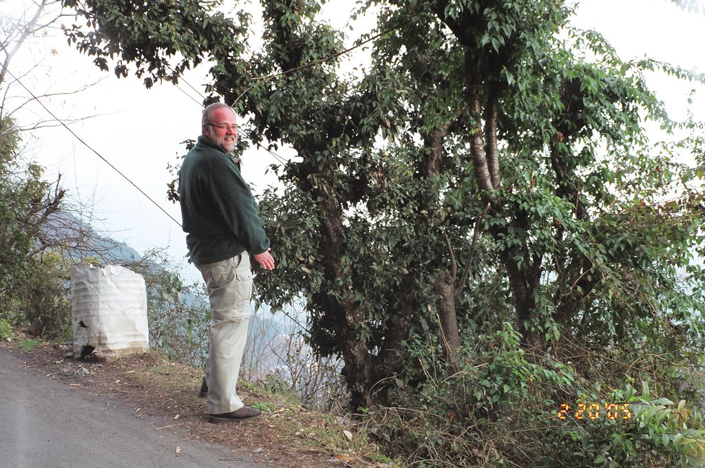 Notes from McLeod Ganj: A Slow Travel Diary