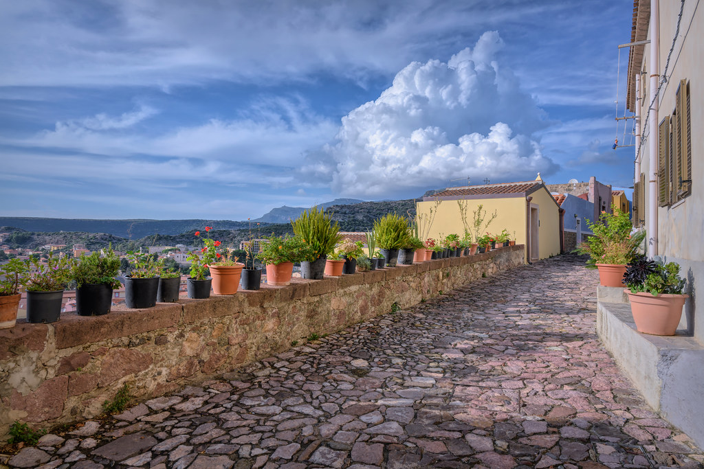 Notes from Bosa Slow: A Travel Diary