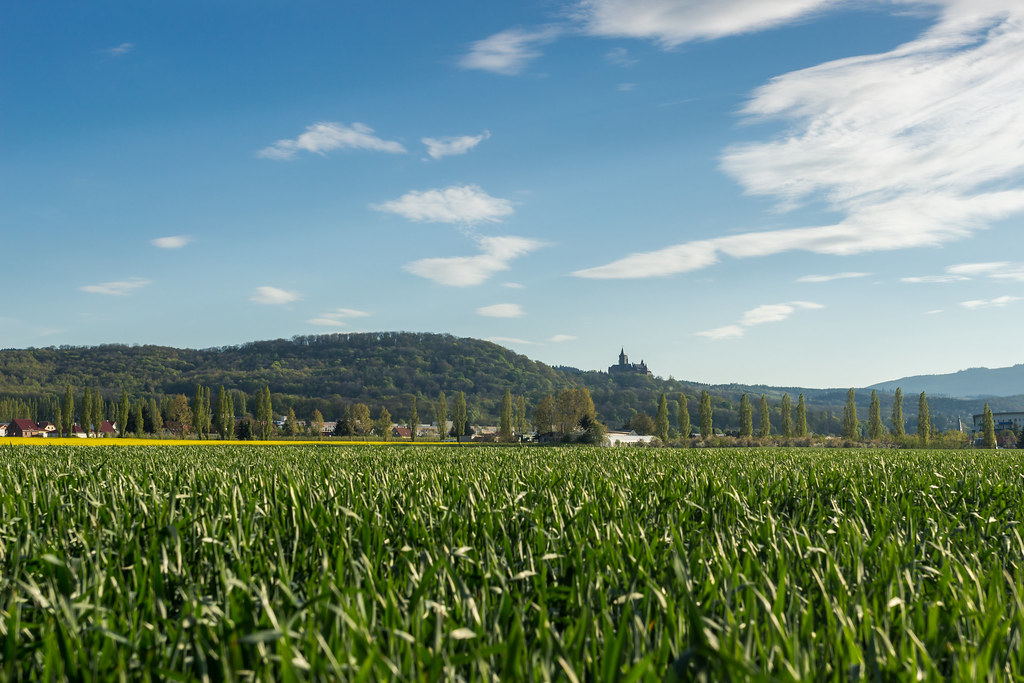 Notes from Wernigerode Slow: A Travel Diary