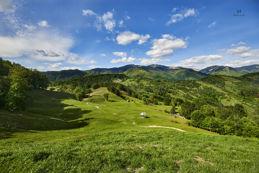 Notes from Maramures Slow: A Travel Diary