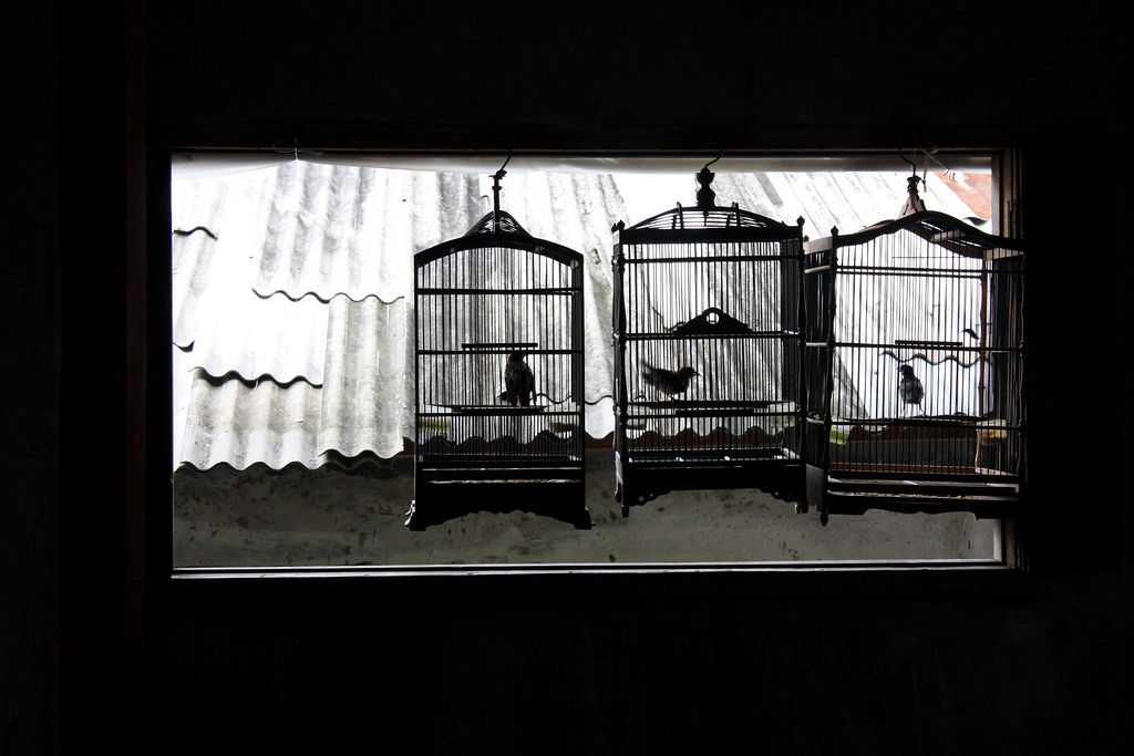 Notes from Malang: A Slow Travel Diary