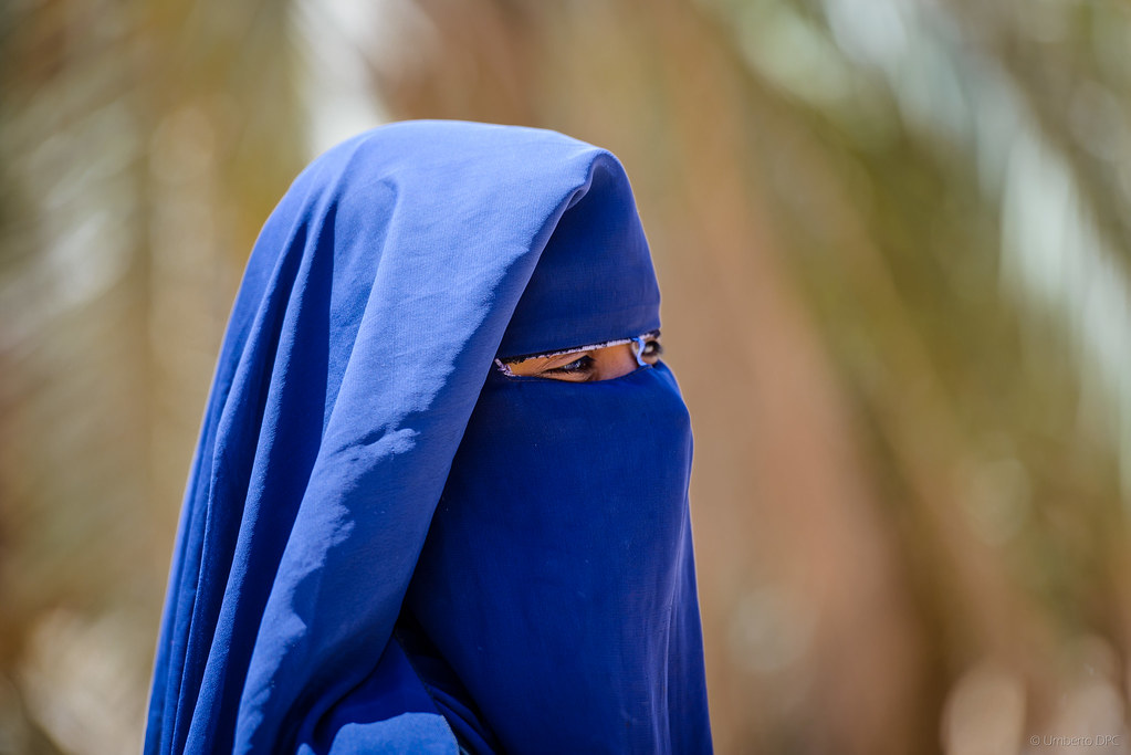 Notes from Siwa Oasis Slow: A Travel Diary