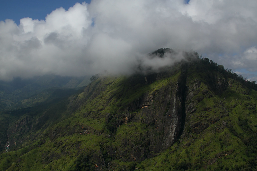 Notes from Ella Slow: A Travel Diary