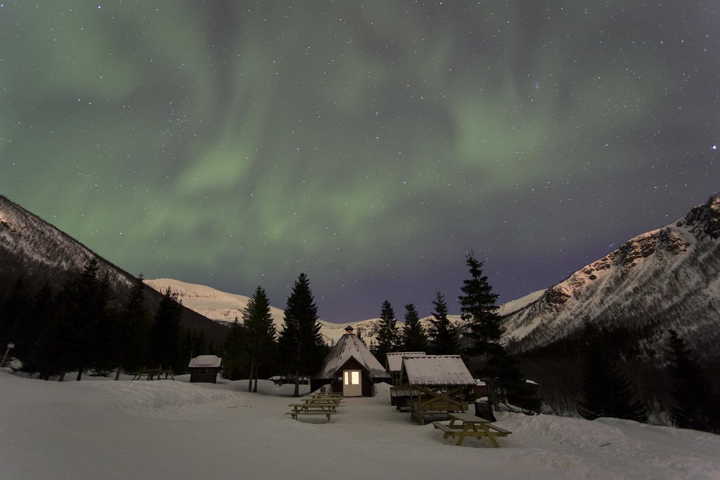 Notes from Tromso: Streets, Light and Slow Mornings